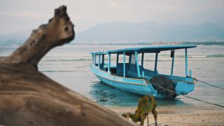 Link to Video | pandemic, sustainable tourism, sightseeing, paid leave, Indonesia, liberty, Bali Island, Asia, COVID-19, Thailand