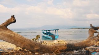 Link to Video | pandemic, sustainable tourism, sightseeing, paid leave, Indonesia, liberty, Bali Island, Asia, COVID-19, Thailand
