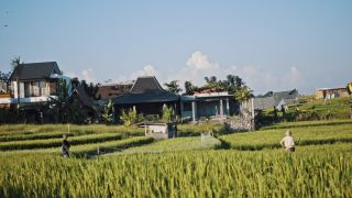 Link to Video | pandemic, sustainable tourism, sightseeing, paid leave, Indonesia, liberty, Bali Island, Asia, COVID-19, Thailand