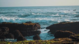 Link to Video | pandemic, sustainable tourism, sightseeing, paid leave, Indonesia, liberty, Bali Island, Asia, COVID-19, Thailand