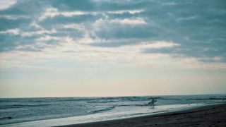 Link to Video | pandemic, sustainable tourism, sightseeing, paid leave, Indonesia, liberty, Bali Island, Asia, COVID-19, Thailand