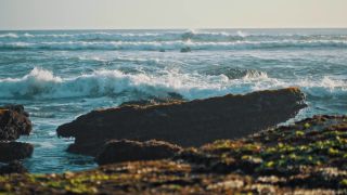 Link to Video | pandemic, sustainable tourism, sightseeing, paid leave, Indonesia, liberty, Bali Island, Asia, COVID-19, Thailand