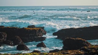 Link to Video | pandemic, sustainable tourism, sightseeing, paid leave, Indonesia, liberty, Bali Island, Asia, COVID-19, Thailand