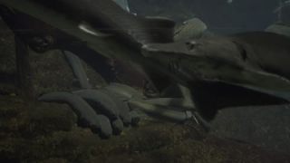 Link to Video
