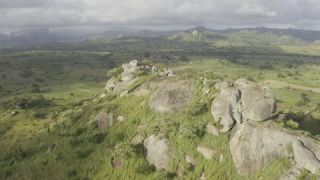 Link to Video