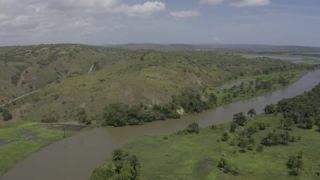 Link to Video