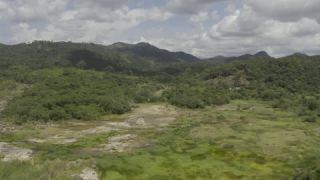 Link to Video