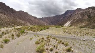 Link to Video