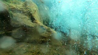 Link to Video