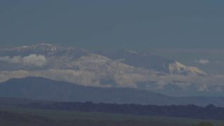 Link to Video
