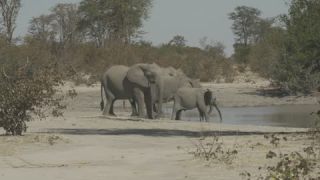 Link to Video