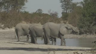 Link to Video