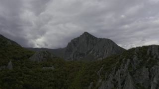 Link to Video