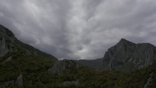 Link to Video