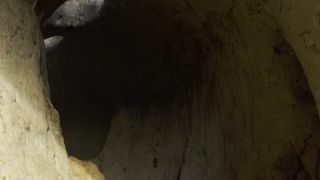 Link to Video