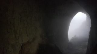 Link to Video