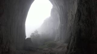 Link to Video