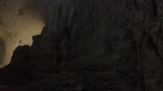 Link to Video