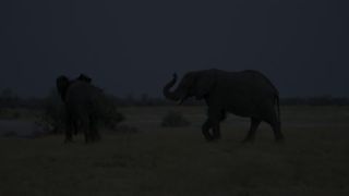Link to Video