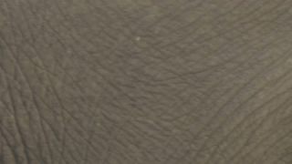 Link to Video