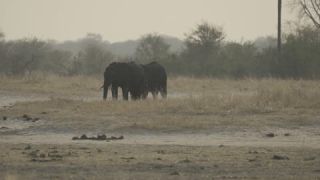 Link to Video