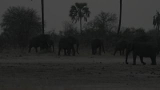 Link to Video