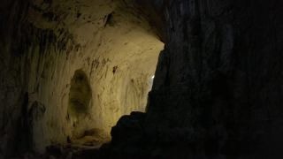 Link to Video