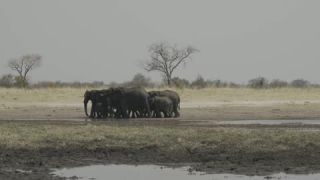 Link to Video