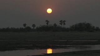 Link to Video