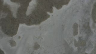 Link to Video