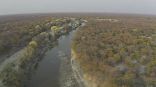 Link to Video