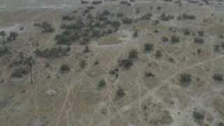 Link to Video