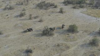 Link to Video