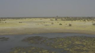 Link to Video