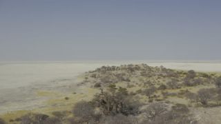 Link to Video