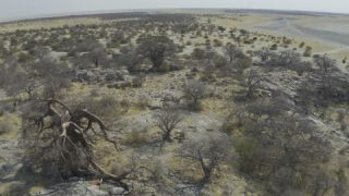 Link to Video