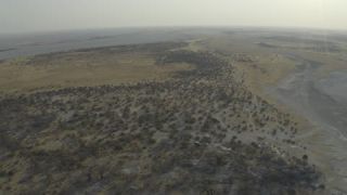 Link to Video