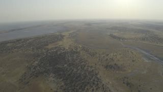 Link to Video