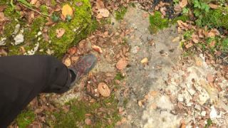 Link zum Video
