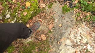 Link zum Video