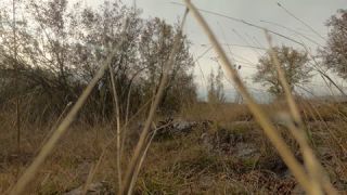 Link zum Video