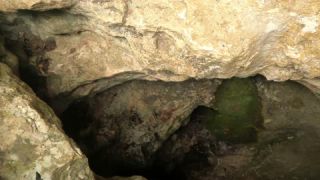 Link zum Video