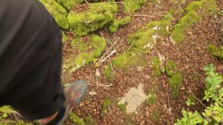 Link zum Video