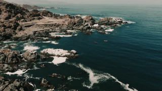 Link to Video