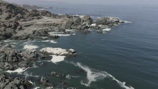 Link to Video