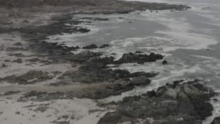 Link to Video
