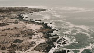 Link to Video