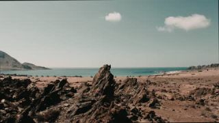 Link to Video