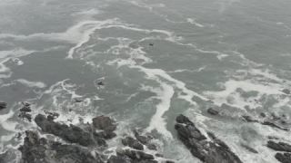 Link to Video