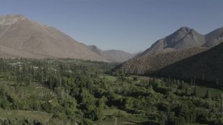 Link to Video